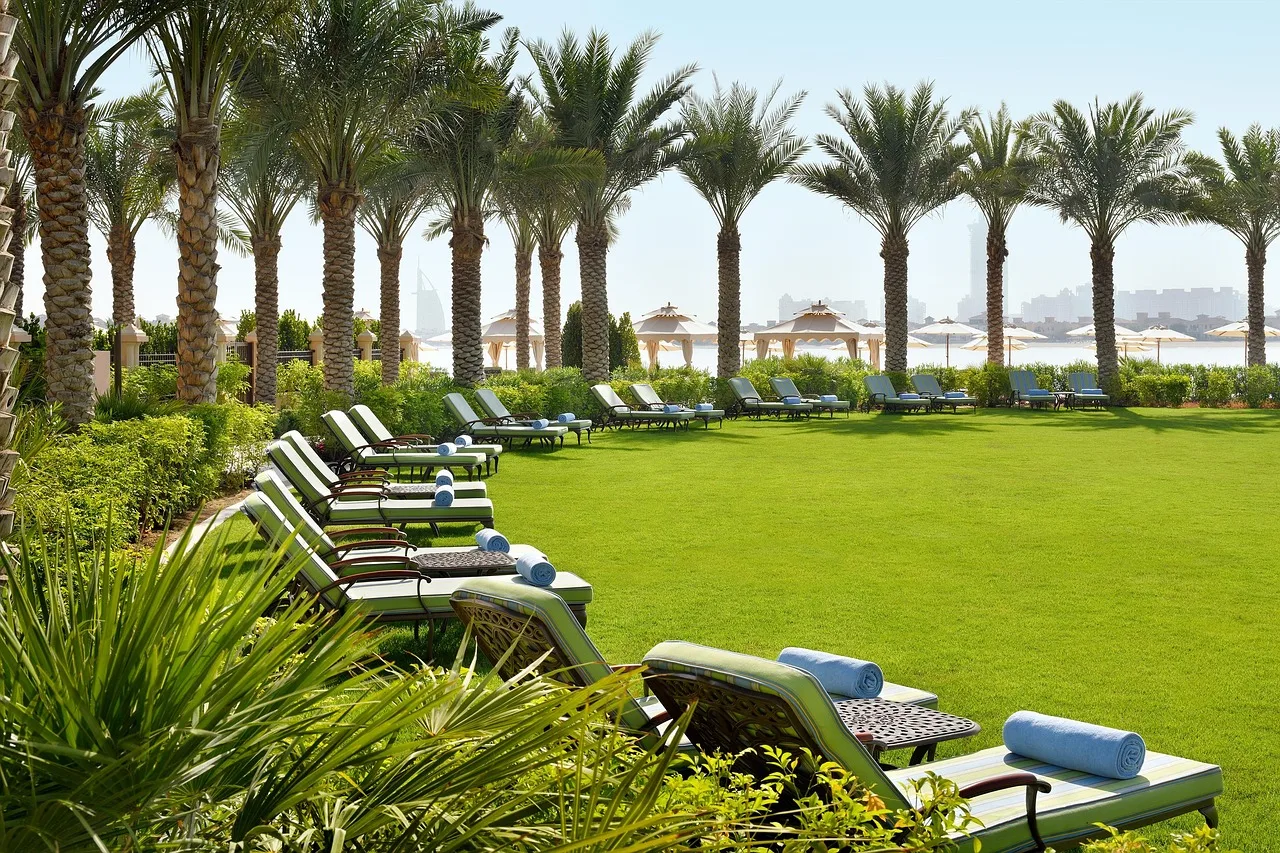 hotel, resort, beach, luxury, exterior, hospitality, landscape, nature, ocean, sea, palm trees, hotel, hotel, hotel, hotel, hotel. Hospitality marketing analytics questions nobody wants to ask out loud